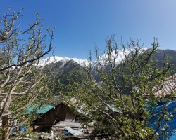 melodies-crown-cottages-batseri-sangla